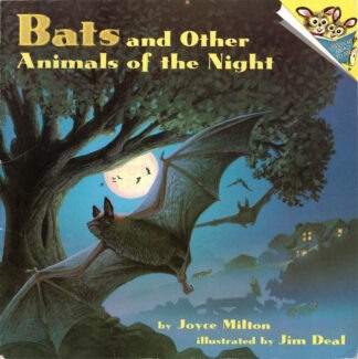 Bats And Other Animals Of The Night