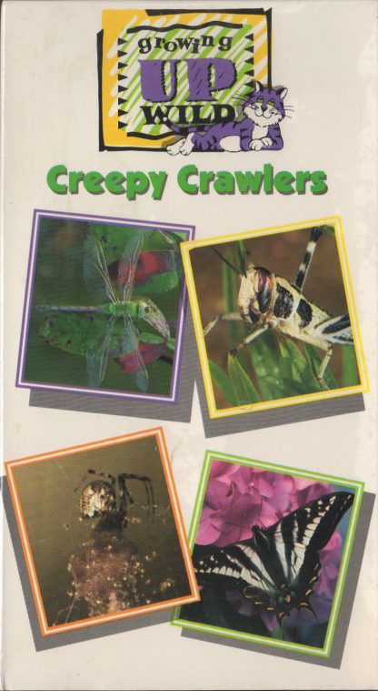 Creepy Crawlers