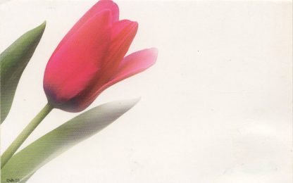 Floral Enclosure Card - tulip