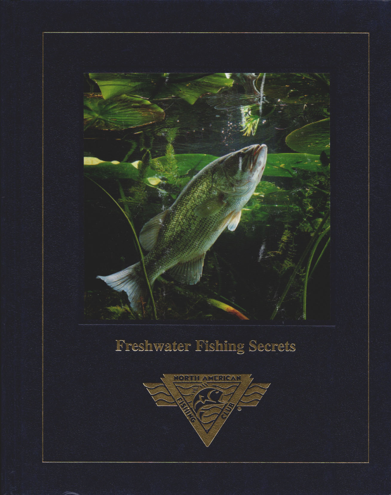 FRESHWATER FISHING SECRETS - North American Fishing Club