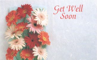Get Well Soon - gerbera daisies