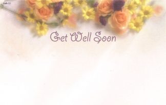 Get Well Soon - daisies & roses