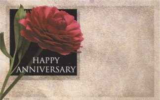 Happy Anniversary - red rose