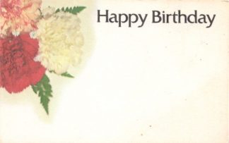 Happy Birthday - carnations
