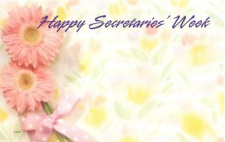 Happy Secretaries' Week - pink daisies