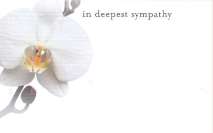 In Deepest Sympathy - white orchid