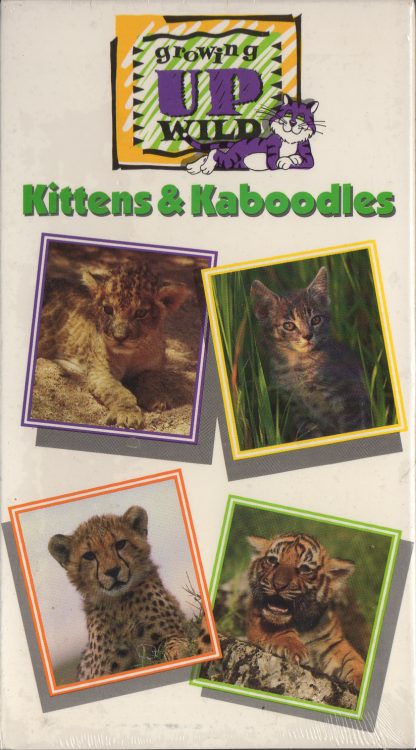 Kittens & Kaboodles