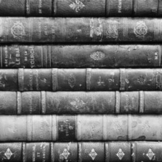 Language & Literature