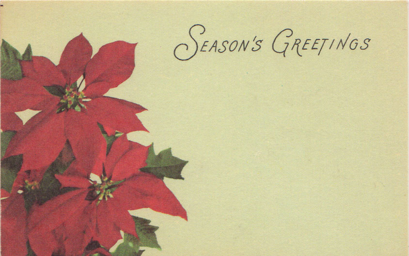seasons greetings floral enclosure card w poinsettia poinsettia card