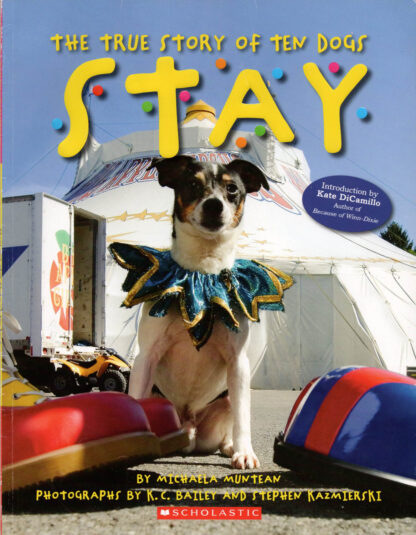 Stay: The True Story of Ten Dogs