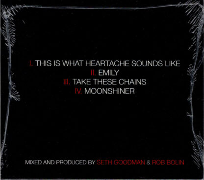 This Is What Heartache Sounds Like (back)