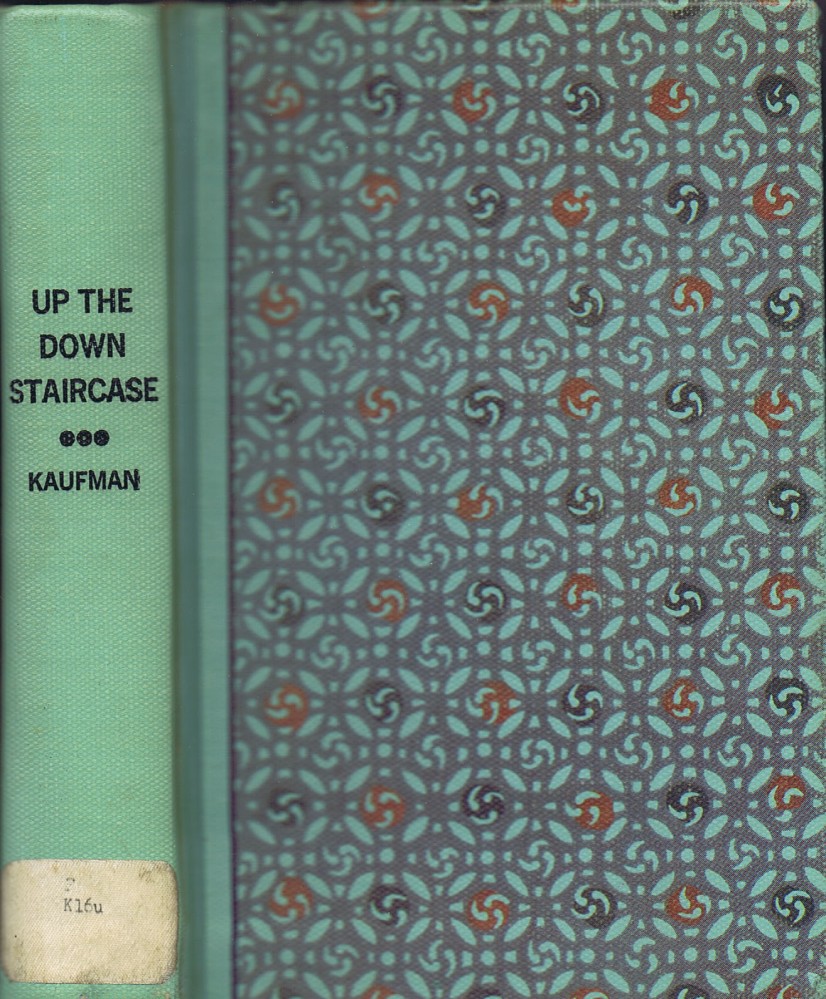 up the down staircase novel